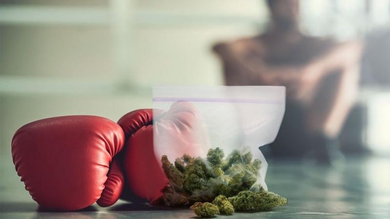 Weed Boxing Championship